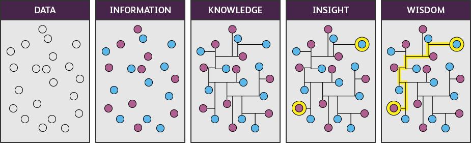 making-the-leap-from-insights-to-wisdom-a-collaborative-approach