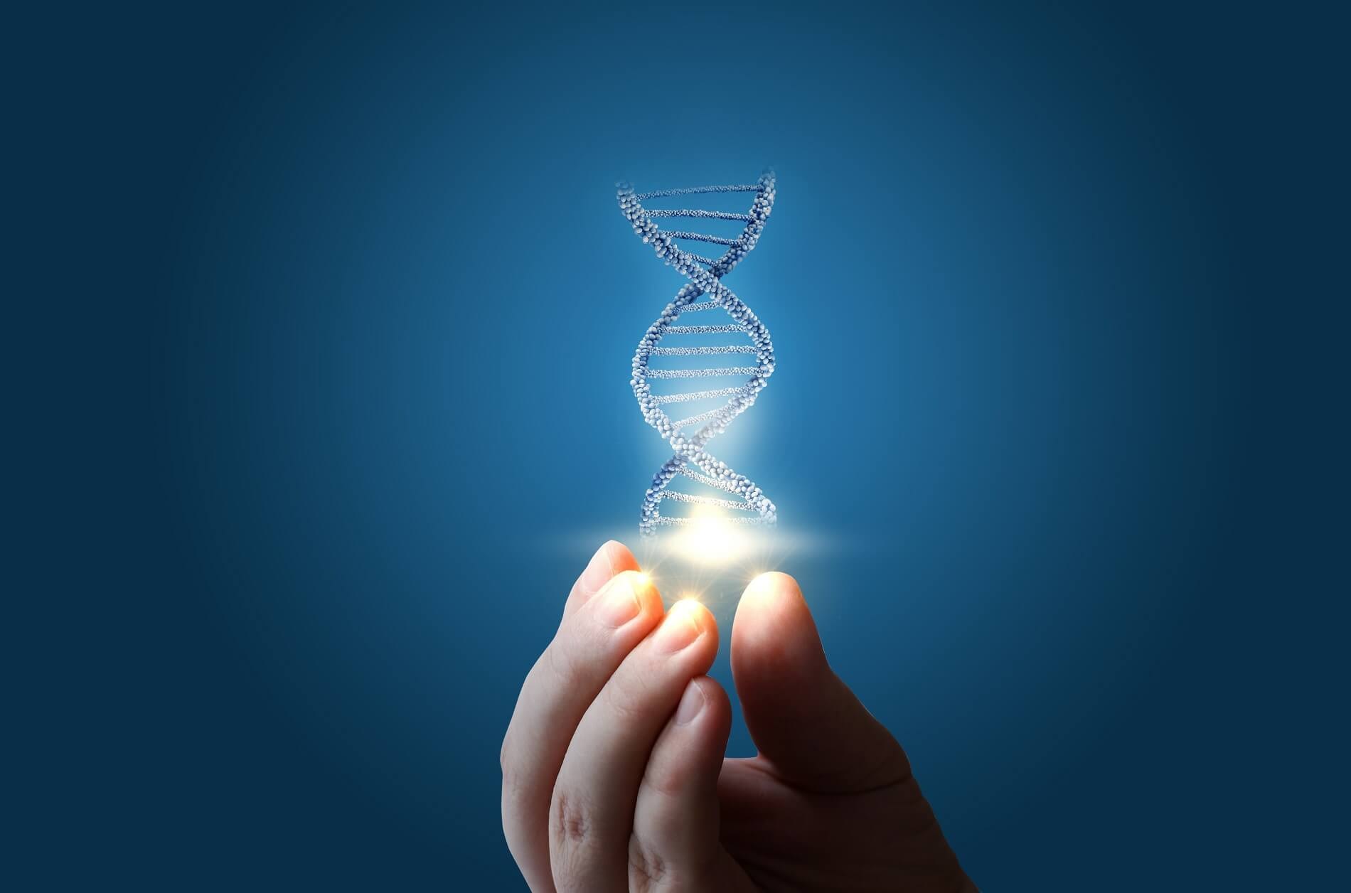 Sequence Searches: How to interpret claim language