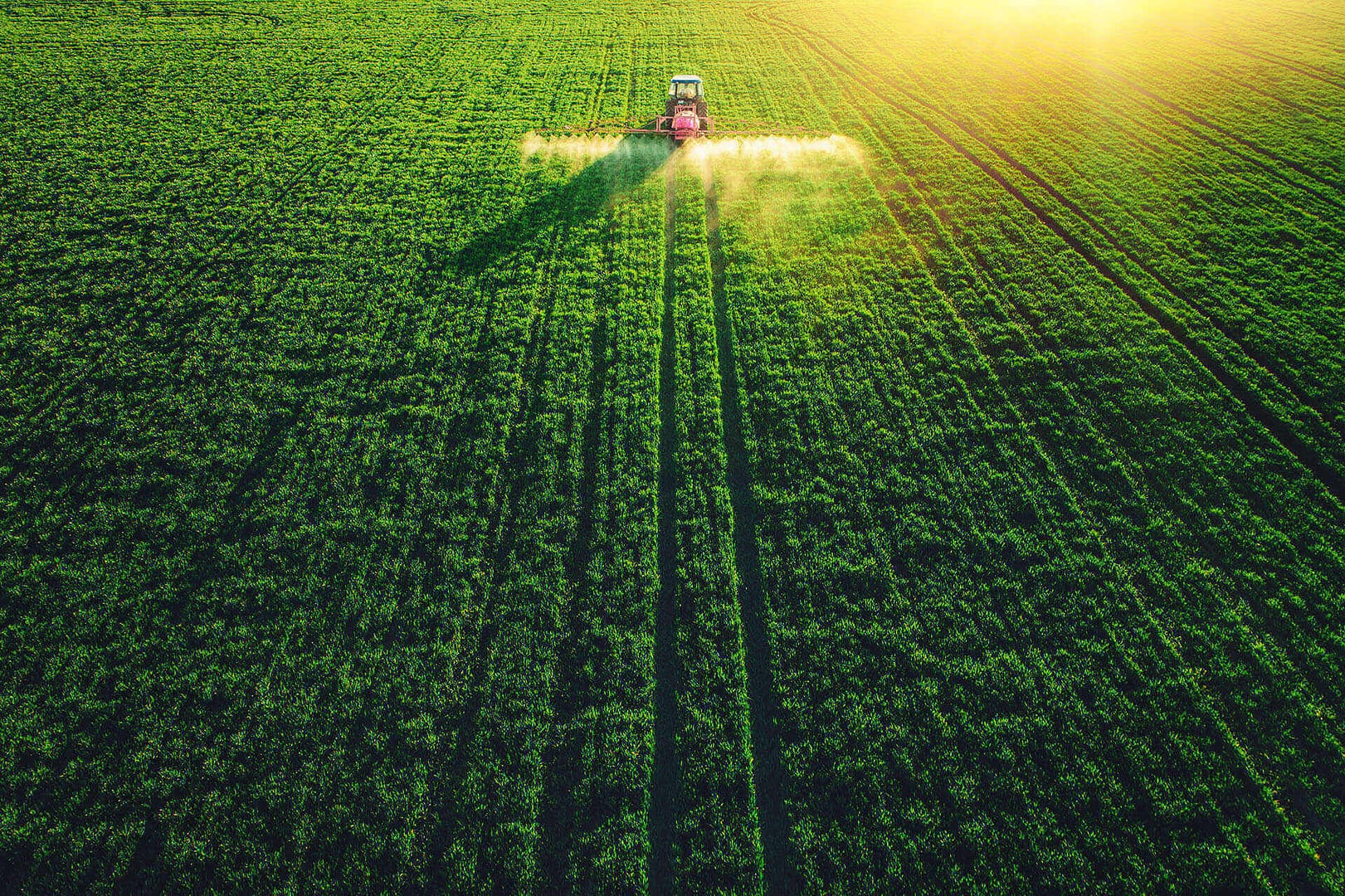 Syngenta Drives Stronger Data-Supported Decisions with Insightsfirst