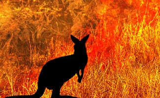 Financial-institutions-banks-efficient-measurement-and-management-of-climate-change-risk