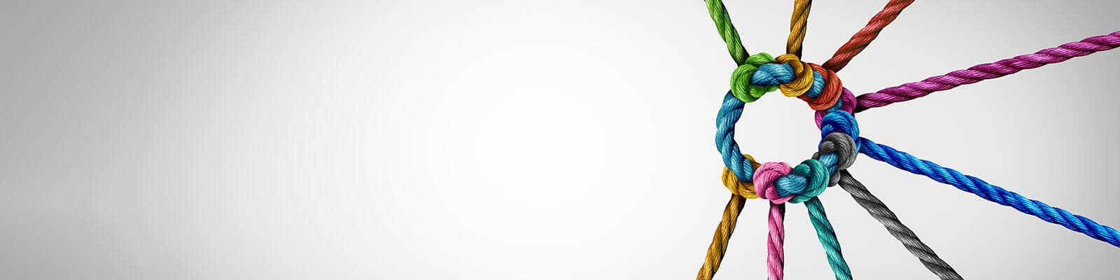 Direct-to-consumer(DTC)