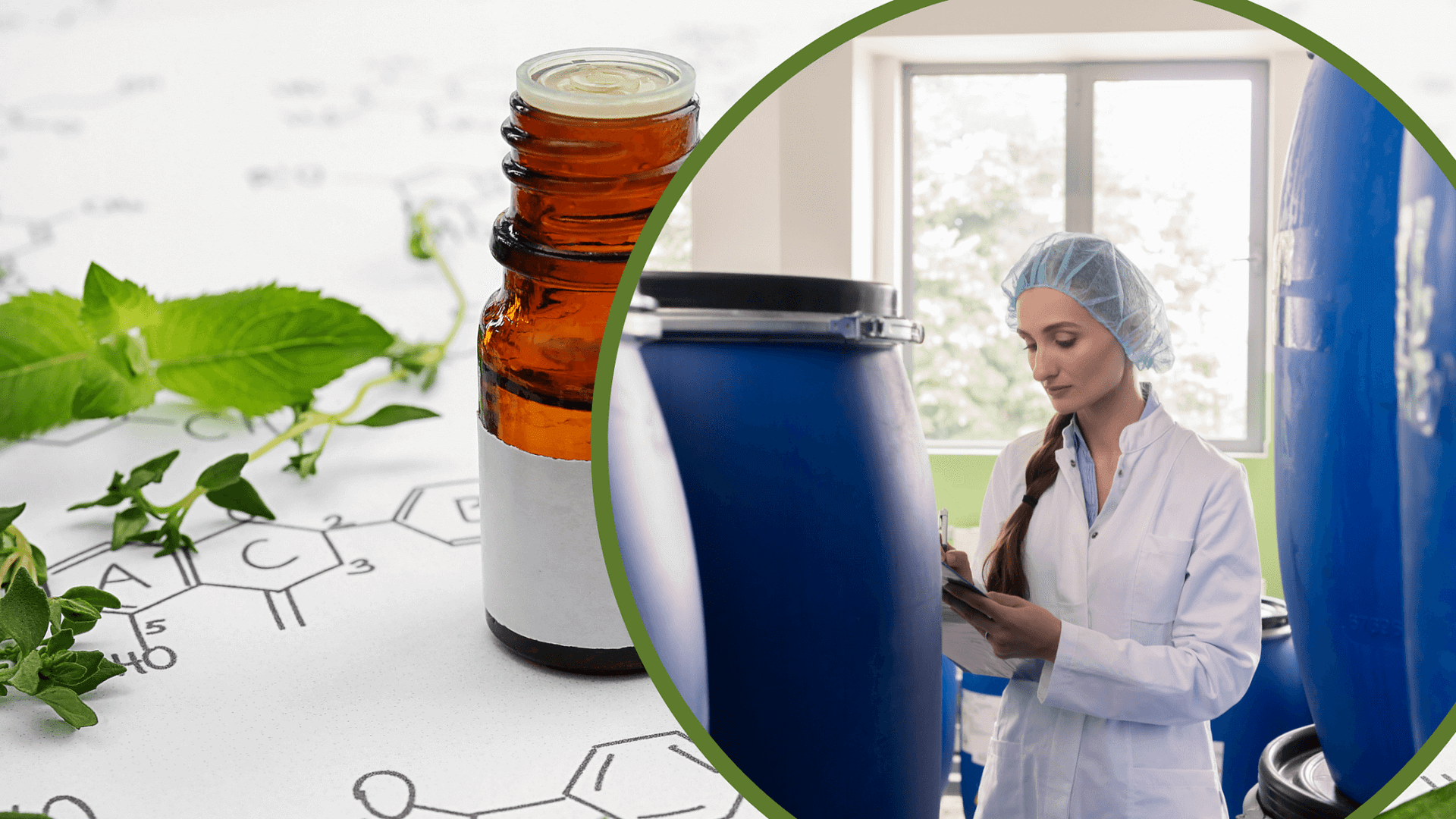 Evalueserve provides support for new India REACH legislation