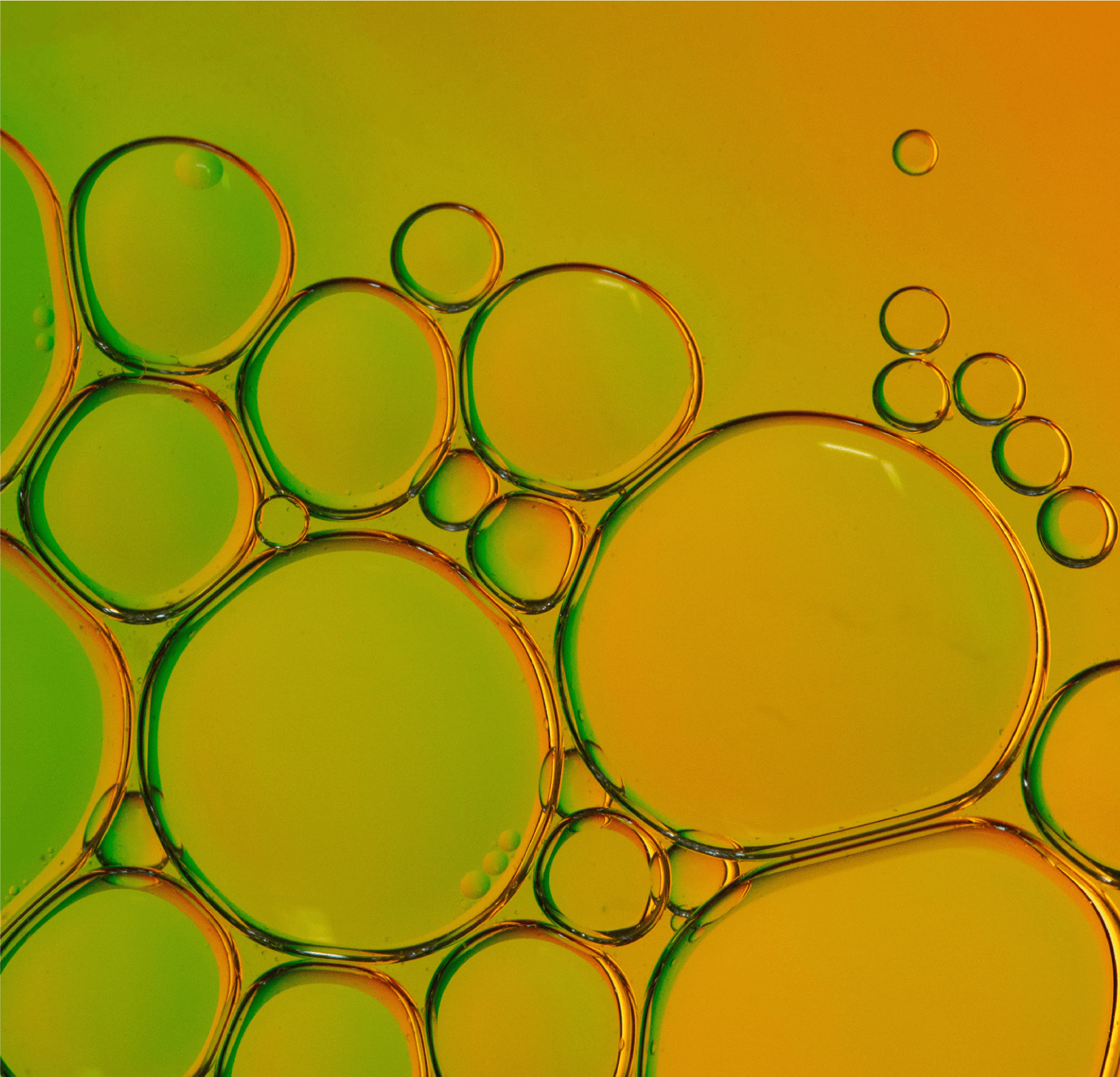 Supporting a Leading Agro-chemical Company Comply With Latest EPA Regulations