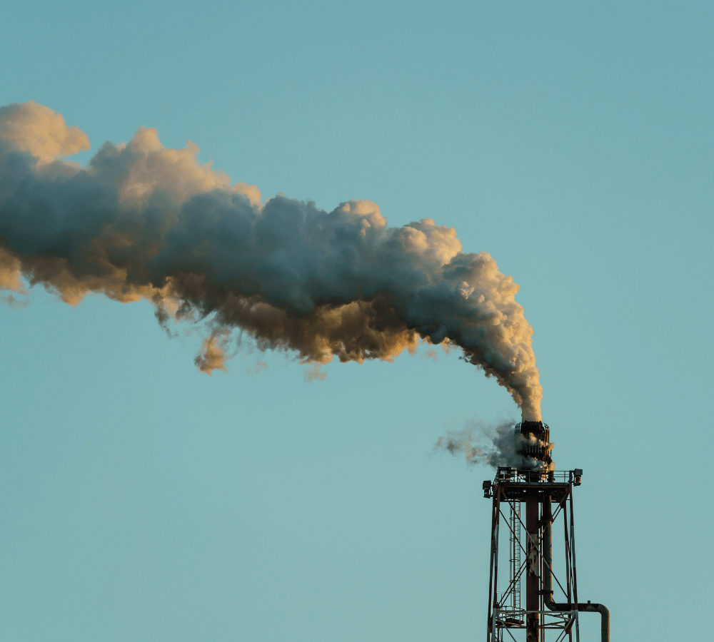 The Role of Partners and Supply Chains in Emissions | Scope 3 Emissions Blog Post