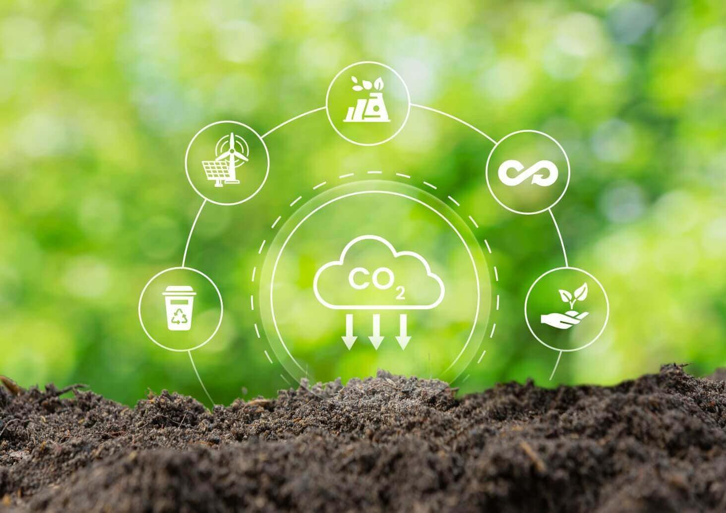 Identifying High-Value Carbon Credit Generation Opportunities for a Client