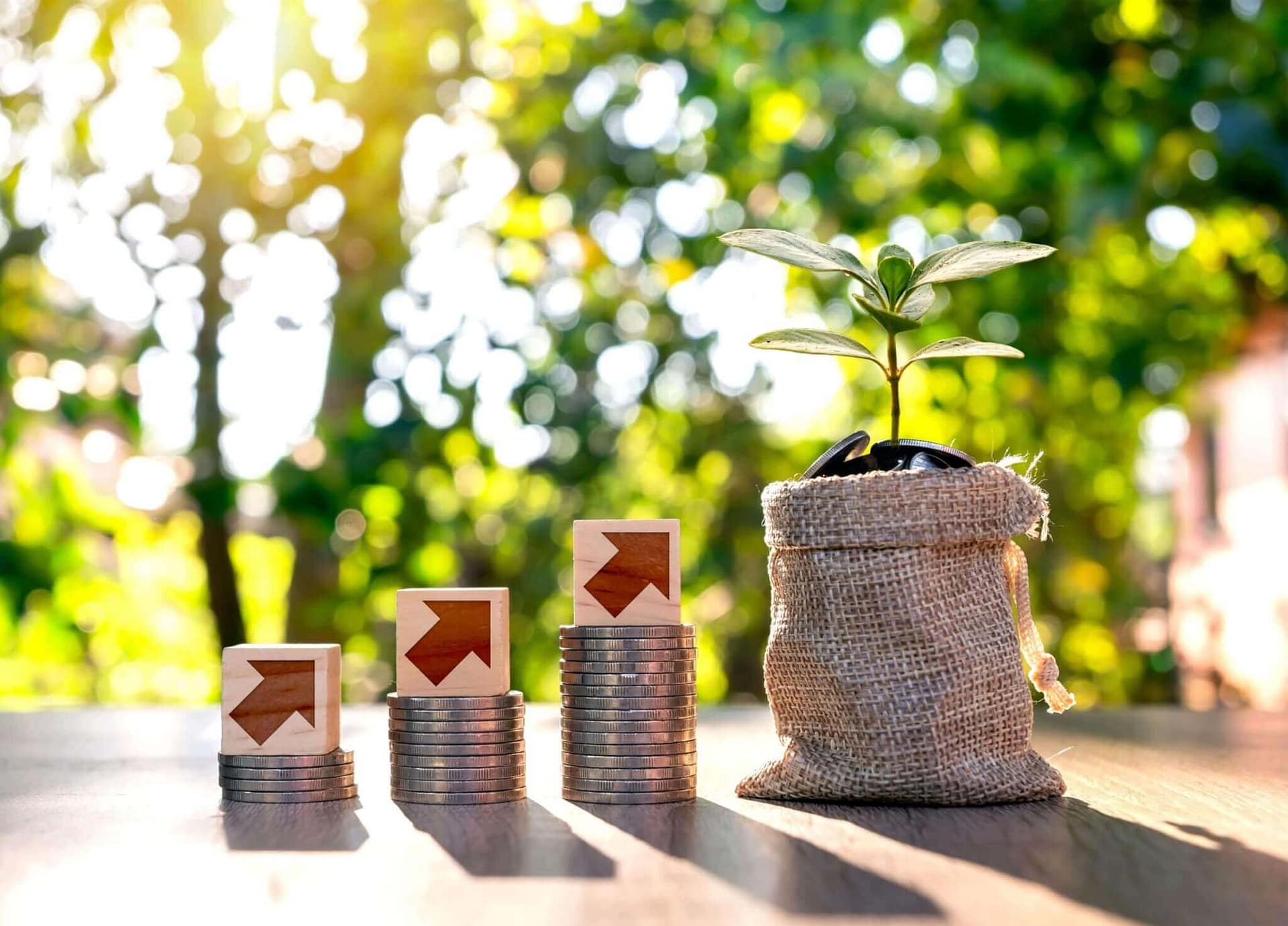 Natural Resources Portfolio Allocation