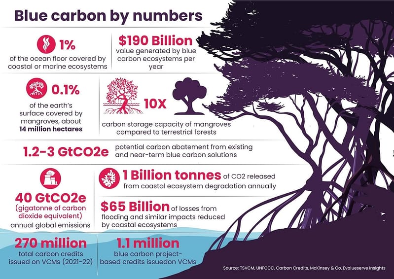 Blue carbon credits: a new solution for decarbonization in VCMs