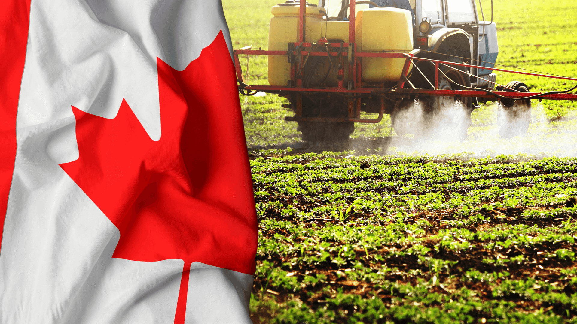 Do you want to sell pesticides in Canada? Then here is what you need to know about the regulation process.