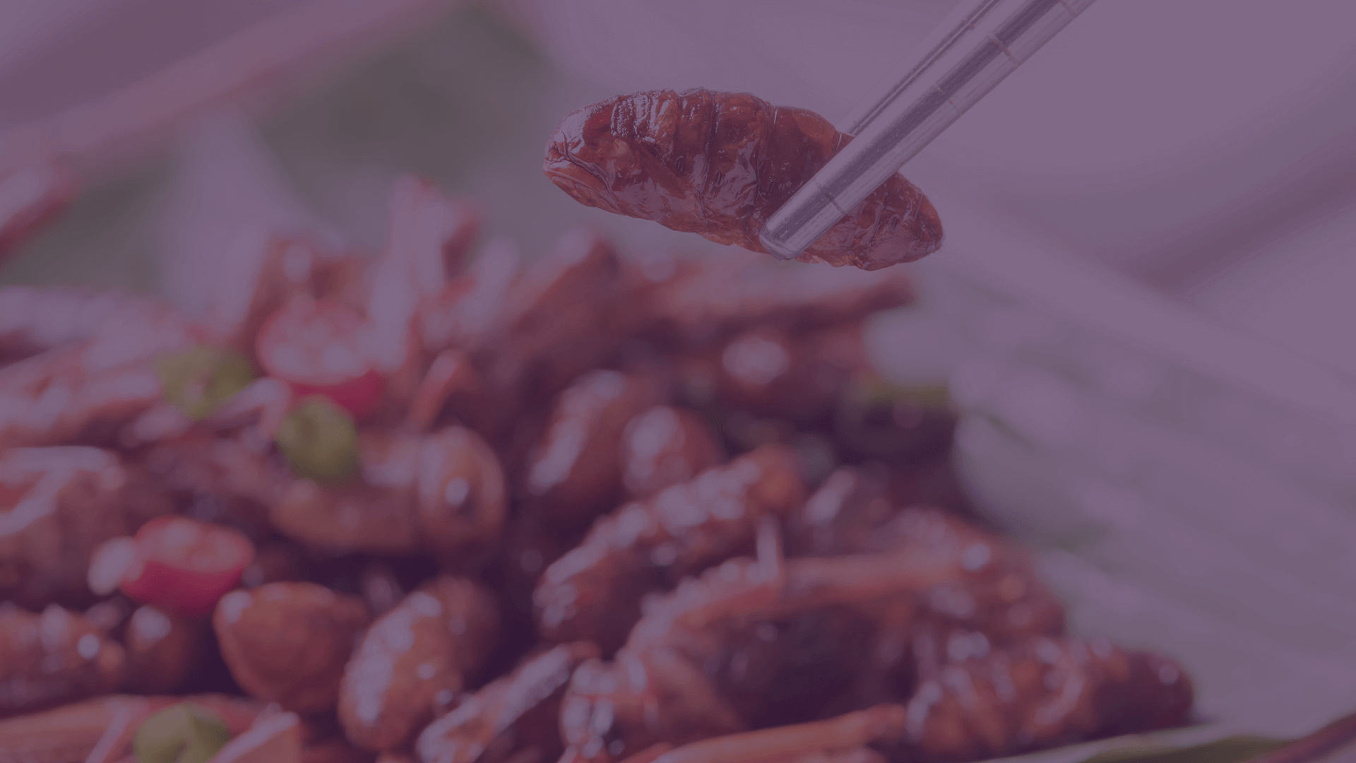 Are edible insects the way forward for sustainability and food security?