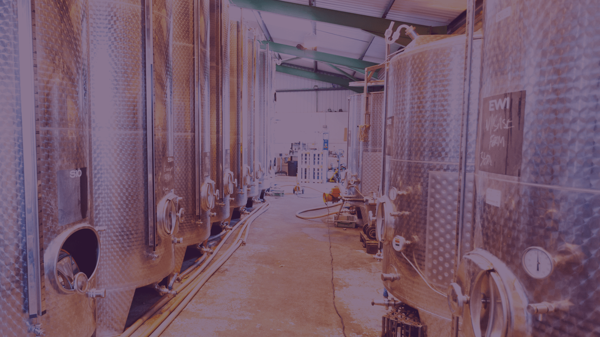 Precision Fermentation – The Next Big Thing in Food