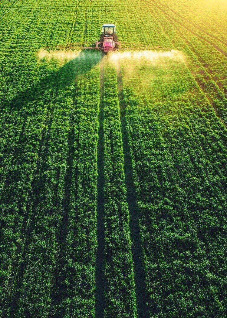 Syngenta Drives Stronger Data-Supported Decisions with Insightsfirst